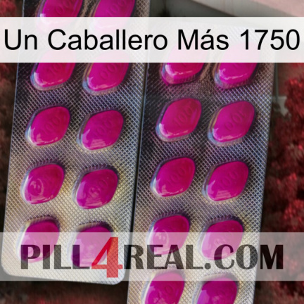 Un Caballero Más 1750 10